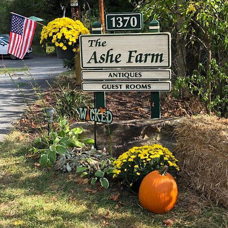 The Ashe Farm Bed and Breakfast Marshall Exteriör bild