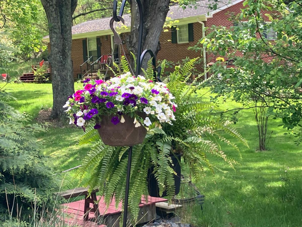 The Ashe Farm Bed and Breakfast Marshall Exteriör bild