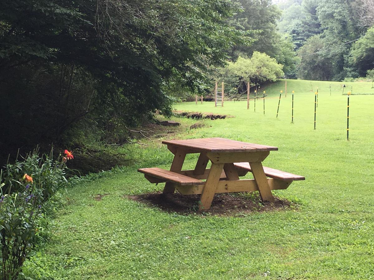 The Ashe Farm Bed and Breakfast Marshall Exteriör bild